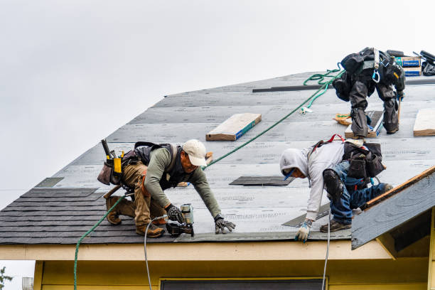 Professional Flat Roof Repair technician working in Linville Falls, NC